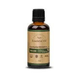 퓨어스 유칼립투스시트로도라아로마오일 50 ml