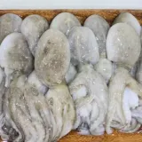 제철 냉동 쭈꾸미 4kg