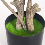 행운목 조화(200cm)