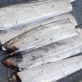 냉동 갈치 10미 은갈치 국산갈치 맛있는생선