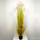 팜파스그라스 갈대 조화(연브라운)(150cm) 인조갈대