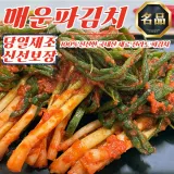당일제조 전라도 매운 파김치 3kg (100% 국산재료)