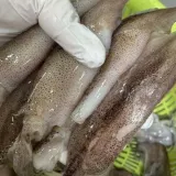 냉동 총알한치 2kg 한치샐러드 한치파스타