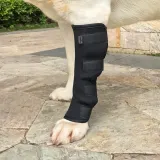 펫츠런 슬개골탈구 애견발목 강아지 다리보호대 (M)