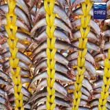 동해바다 제철 반건조 양미리20미