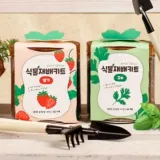 바질 고수 딸기 모종 키우기 세트 어린이 가드닝 원예 용품