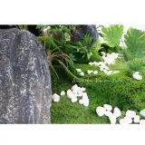 플랜테리어 리얼 인조 이끼 A-2(100cm*200cm)