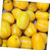 참외 5kg 손맛 가정용반찬 어머니손맛