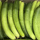 백다다기 백오이 1kg