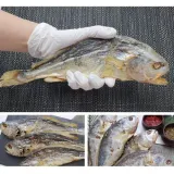 보리굴비 선물세트 5미 구정 답례품 설날 명절 설 선물 단체