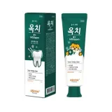 (오스템) 옥치 불소치약 150g 아쿠아민트 (1개입)