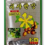 치자한방 패드 패치 25매