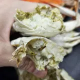 국내산 냉동 숫꽃게 3kg