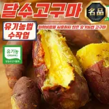 유기농 무안 당해수확 햇 달수고구마 엄지(한입) 5kg