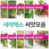 새싹채소 씨앗 모음