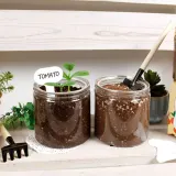 방울토마토 신선 허브 바질 고수와 딸기 모둠 구성