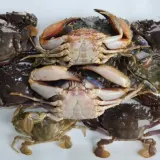 냉동 돌게 2kg