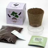 베란다 텃밭용 가지 모종 화분 식물 키우기 세트