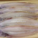 반건조 박대 5미 중 반건조건어물 박대선물 박대생선