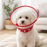 아르랑 반려동물 투명 넥카라 중소형 엘리자베스카라