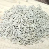 VGC 생해바라기씨 800g 말린 깐해바라기씨