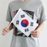 502070 미니 태극기