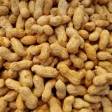 국내산 땅콩 500g