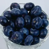 블루베리 왕특 125g 2팩