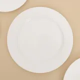 다회용 접시 10개입(25cm) 플라스틱접시