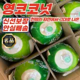 [푸디픽] 태국 베트남 영코코넛 12개