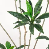 행운목 조화(120cm)