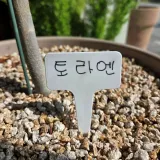 화이트 원예라벨 10cm 식물이름표 화분 텃밭 정원 네임택