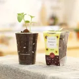 식물 키우기 화분 세트 재배 컵 가드닝 씨앗 화분 분갈이 용기