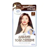 간편 새치 염색 흑갈색 4회분 헤어 컬러 염모제