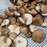 못난이 표고버섯 3kg