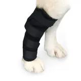 펫츠런 슬개골탈구 애견발목 강아지 다리보호대 (XL)