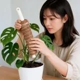식물 지지대 원예 지주대 수태봉 가드닝 홈가드닝 인테리어 용품 60cm