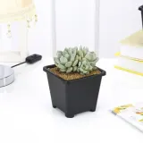사각 플라스틱 화분 9 x 9cm