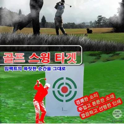 스윙타겟B형 스윙타켓 골프스윙타겟 골프용품 대형사