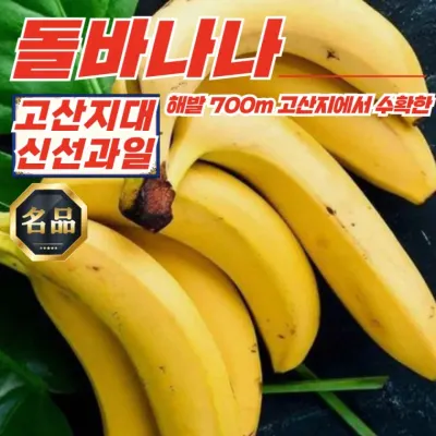 해발 700m 고산지 돌 바나나 1송이 (송이당1.0-1.2kg)