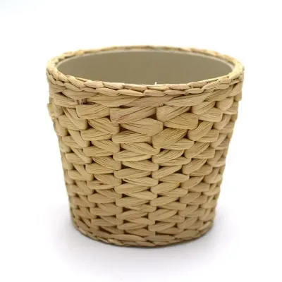 FRIDFULL 프리드풀 천연 부레옥잠 화분 12cm