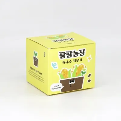 옥수수 모종 화분 식물 키우기 교육자료 유치원 어린이집 체험 미니텃밭