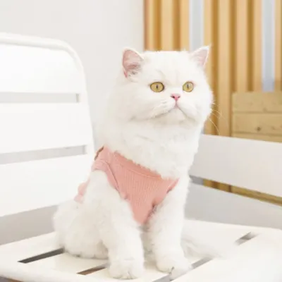 편한 곰들이 강아지옷 고양이옷 와플 면 애완동물 옷 핑크 XL