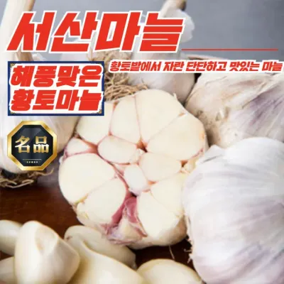 충남 서산 황토밭 대서마늘 대 5kg