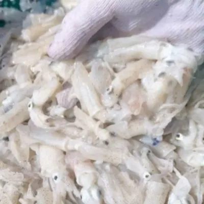 냉동 호래기 1kg