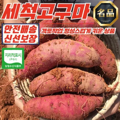 해남 고압살균 세척 고구마 3kg (한입)