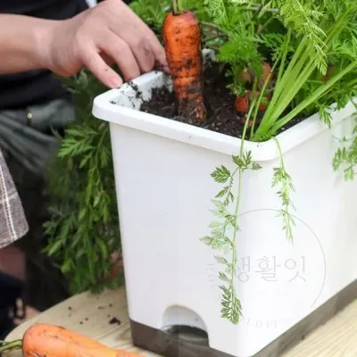 저면관수 대형 텃밭화분47x28x25 화이트 테라스텃밭 옥상화분 베란다텃밭 방부목화분 화단만들기