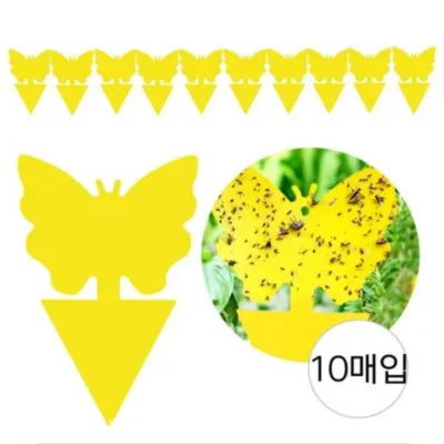 작은뿌리파리 끈끈이 트랩 식물 초파리 10P