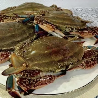 냉동 숫꽃게 3kg 제철숫꽃게 간장게장용꽃게 캠핑용꽃게구이