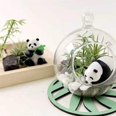 팬더 테라리움 만들기 식물 테라리움 diy 미니어처 초보자 꾸미기 용품 데스크테리어 인테리어 키우기 소품